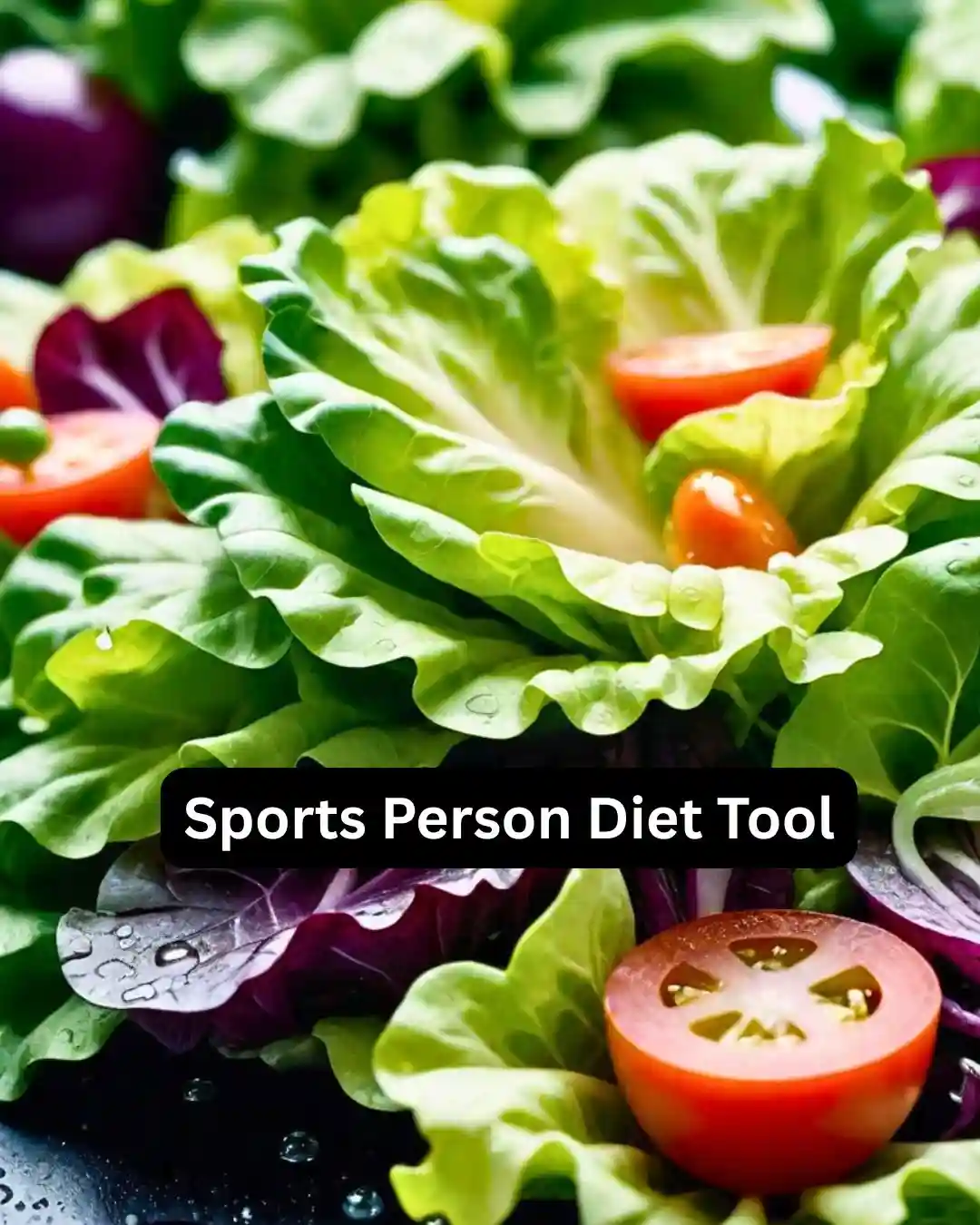 Sports Person Diet Tool